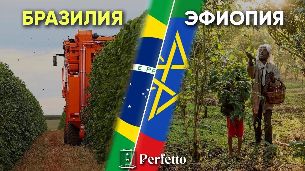 Бразилия и Эфиопия. Два полярных мира по выращиванию кофе. смотреть онлайн