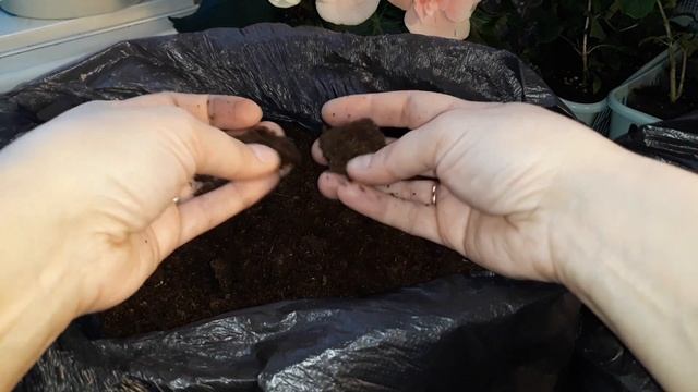 И СНОВА ТОРФ КЛАССМАН - НОВЫЕ РЕЦЕПТУРЫ ( 420 , 876)