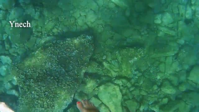 Черногория 6 пляжей Будвы (Montenegro 6 beaches of Budva) смотреть онлайн