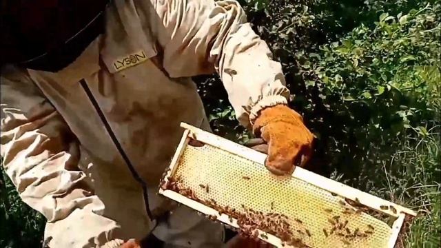 Роеловные соревнования 2023 ч.4 смотреть онлайн