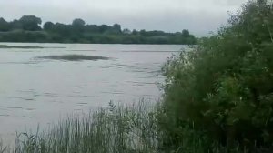 Лучшая лодка Swimmer 370  под Эвинруд 6 на воде