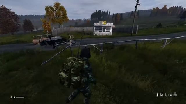 DayZ crazy смотреть онлайн