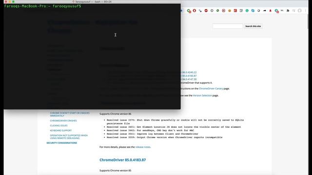 How to Install Chromedriver on a Mac смотреть онлайн
