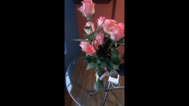 Роза Свит Юник Sweet Unique Эквадорский сорт Обзор смотреть онлайн