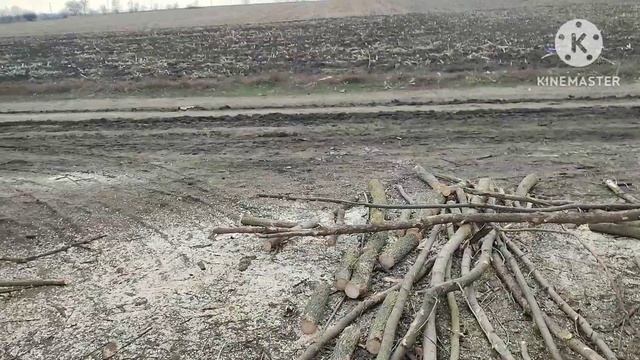 Бензопила#PRO-CRAFT#K-300S#заготовка и распил дров смотреть онлайн