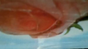 Я без тебя пропадаю, я без тебя живу не любя и без тебя я точно знаю, что это не я(наброски)