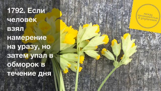 Если человек взял намерение на уразу, но затем упал в обморок в течение дня / Шарх Булуг иль-марам смотреть онлайн