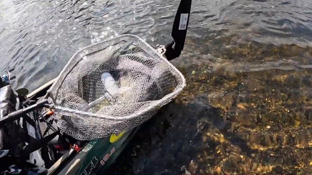 KAYAK FISHING RIVER TRENT / РЫБАЛКА С КАЯКИ НА РЕКЕ ТРЕНТ смотреть онлайн