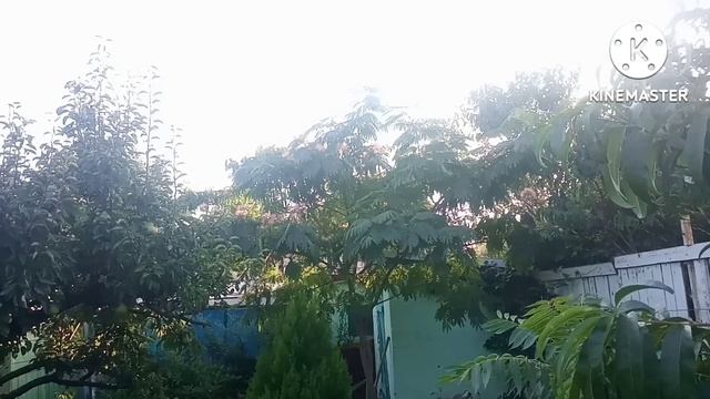 Запоминаем лето. Прогулка в парке ....конец августа. смотреть онлайн