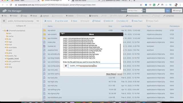How To Install WordPress In CPanel Manually