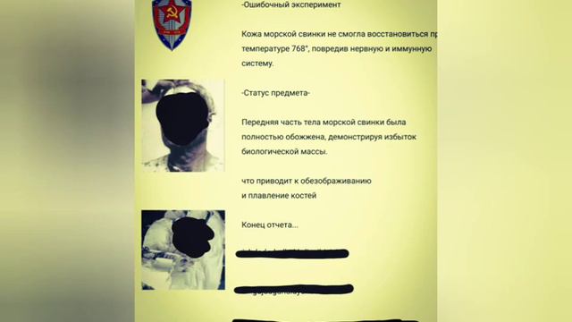 11/02/1964 смотреть онлайн