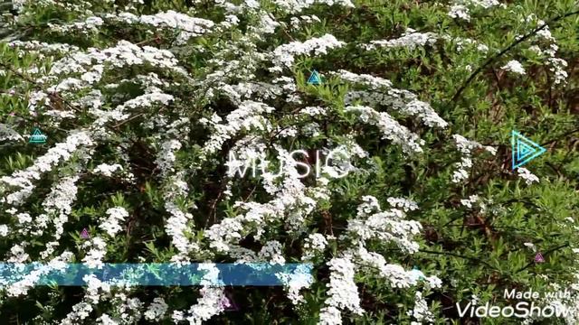 Май✨☀️✨ 2019!