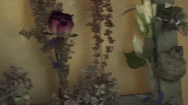 Картина из сухих трав / Урок №22