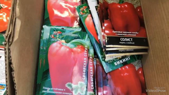 ОБИ. Обзор в Садово - огородном отделе.Январь 2019. смотреть онлайн