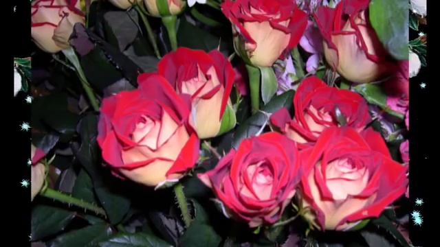 Лепестками роз смотреть онлайн