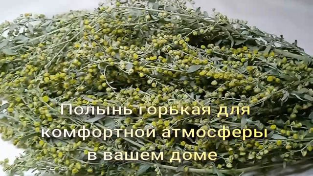 Полынь от нежелательных гостей, для создания уютной и комфортной жизни в Вашем доме. смотреть онлайн