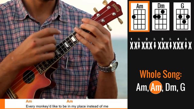 Bongo Bong - Ukulele Tutorial - King Of Bongo Manu Chao - Uke Lesson смотреть онлайн