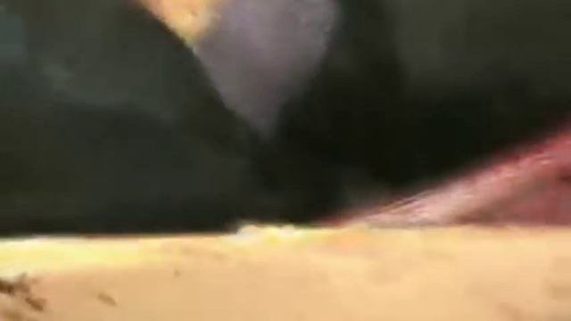 AUTOPSIA MEDICO LEGAL смотреть онлайн