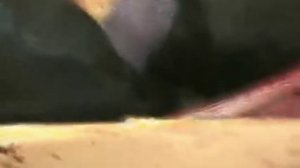 AUTOPSIA MEDICO LEGAL