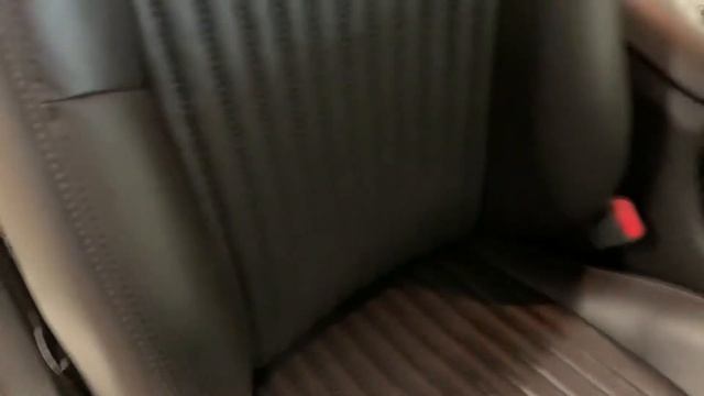 2001 Ford Mustang Bullitt GT — Walk-around / Cold Start Video