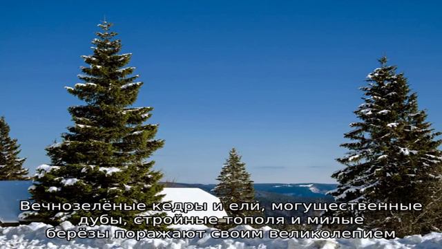 Записи с тегом 'ели'