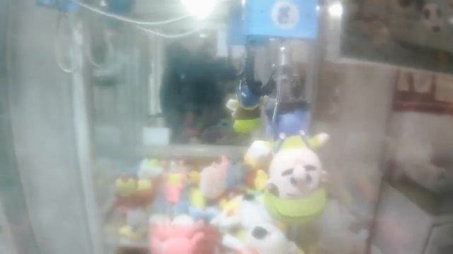 Выиграл очаровательного щенка в автомате-хватайке нового владельца в новом районе Западное Дегунино! смотреть онлайн