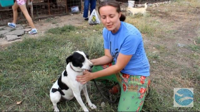 Муза, Белла, Капа смотреть онлайн