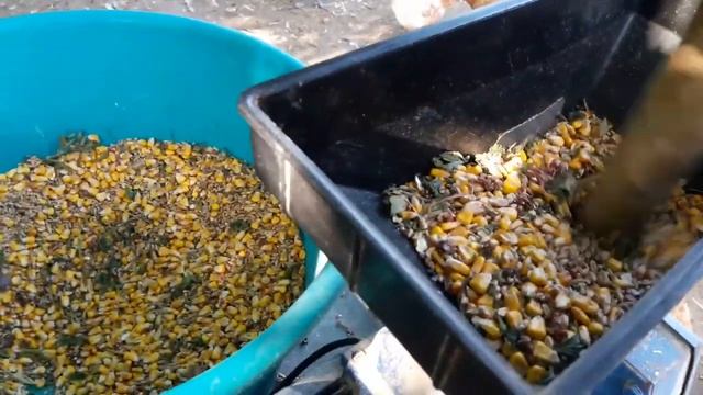 Остановиться в выборе корма, Самодельный или Заводской ?Травяная мука где приобрести ? смотреть онлайн