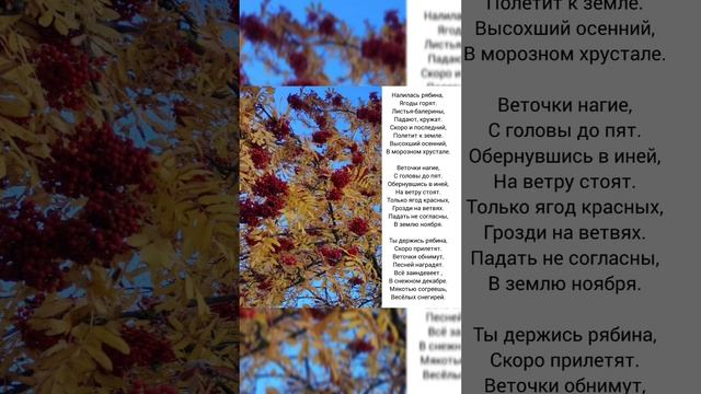 Налилась рябина... #стихи #лирика #ноябрь смотреть онлайн