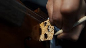 Видео-урок: как правильно заменить  струны на скрипке или альте