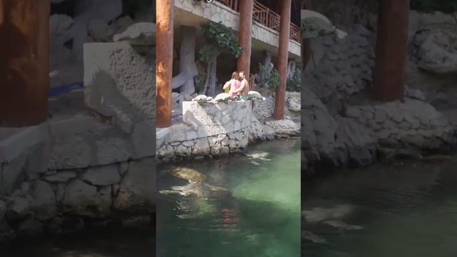 ? ?Xcaret Park: the most emblematic park in Playa del Carmen ?? #shorts смотреть онлайн