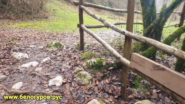 Лучшая днюха в мире. Пикник со львами. часть 1 смотреть онлайн