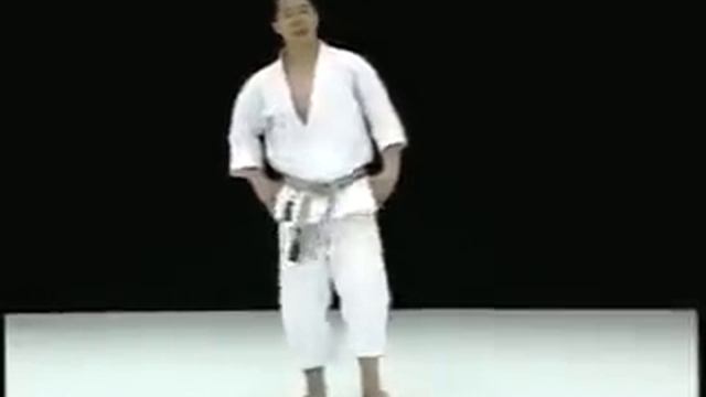 Mawashi Geri