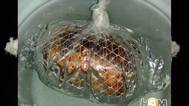 Аниме-Ревью и Обзоры