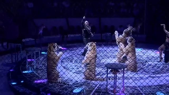 5 Континентов смотреть онлайн