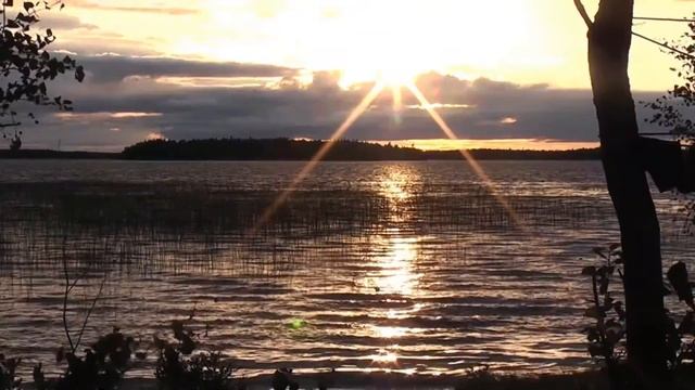 Водный поход "Охта не по-детски" смотреть онлайн
