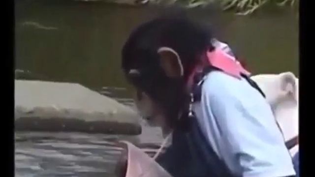 Песьня Друг в беде не бросит. смотреть онлайн