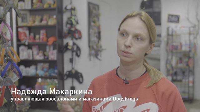 Зоотакси и прогулка-бонус: что придумали магазины товаров для животных и груминг-салоны смотреть онлайн