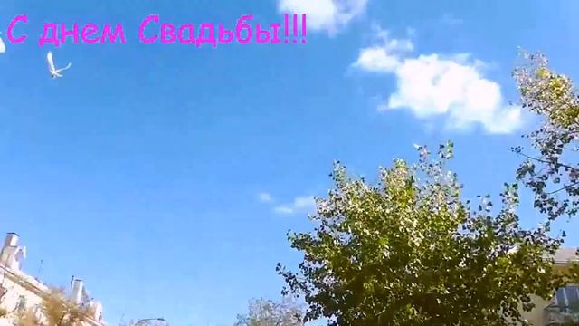 Клип С днем свадьбы!!! смотреть онлайн