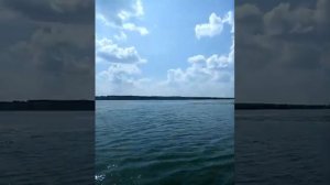 Вадинское водохранилище! 2019г. Пензенская область!