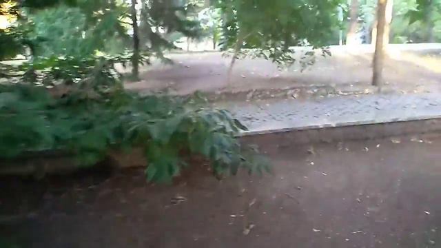 отель Алтея Албена Болгария Hotel Althea 3 смотреть онлайн