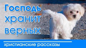 ИНТЕРЕСНЫЙ РАССКАЗ  "Господь хранит верных"  | Христианские рассказы