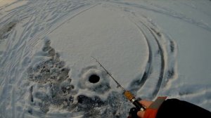 Зимняя рыбалка.  Щука на Ратлины , Vib с Алиэкспресс .  Окунь на балансир