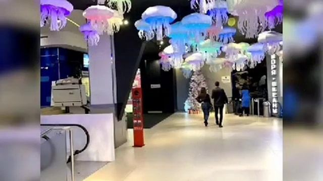 Т.Р.Ц VEGAS Крокус Сити станция метро Мякинино в Москве. смотреть онлайн