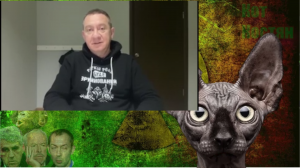 А.С. Пушкин - "орудие убийства". Либералы пропускают прием таблеток.