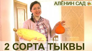 2 сорта тыквы Учики Кури и Розовый банан - больше и не нужно!!!