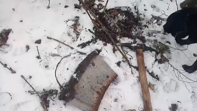 Копаю на той же посадке, цена растёт!!! смотреть онлайн