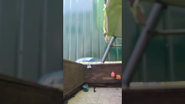 Мастер-класс как слепить дом смотреть онлайн