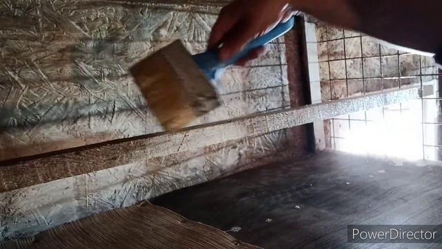 Готовлю клетки в курятнике и пересаживаю цыплят. смотреть онлайн