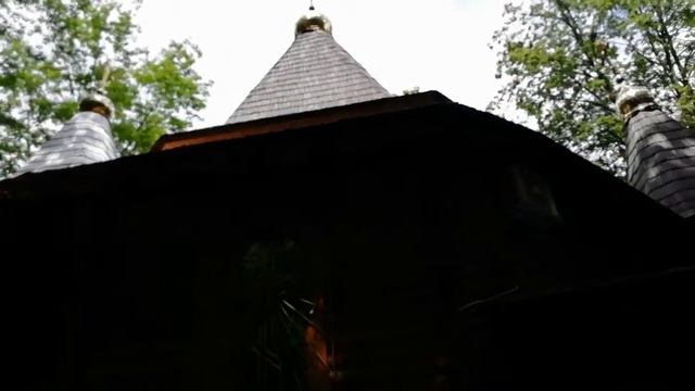 🏞️Relax для чихуа-хуа #чихуахуа 24.05.2019 смотреть онлайн